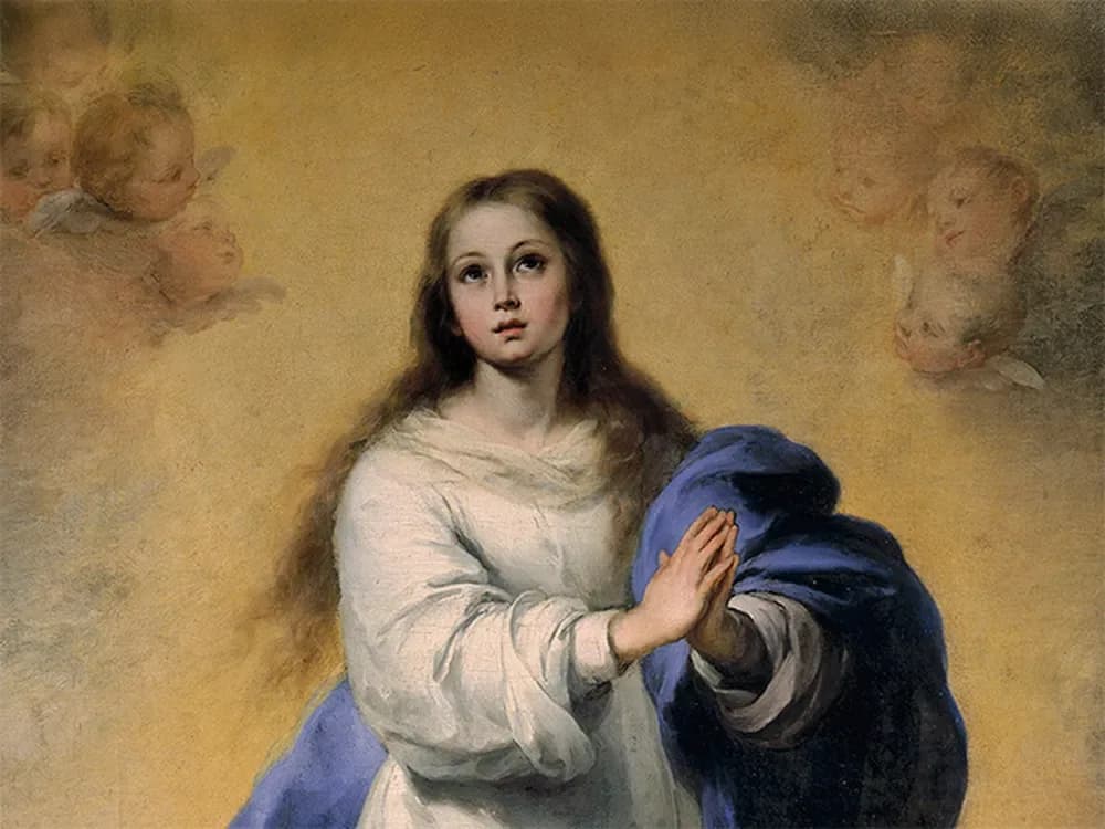 Imaculada Conceição da Virgem Maria